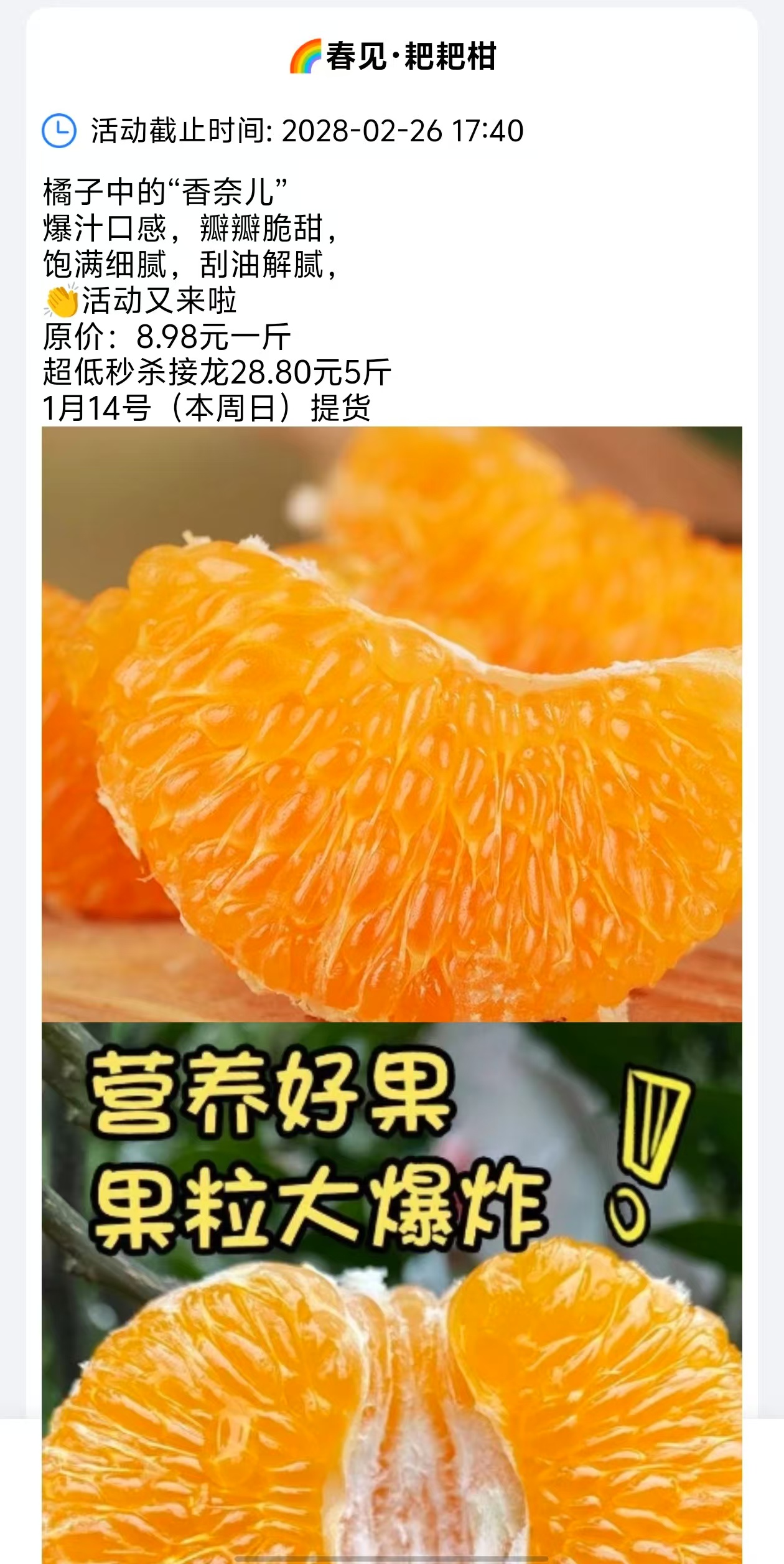 🌈春见·耙耙柑模板预览