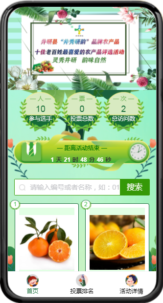 投票活动_投票方案